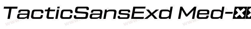 TacticSansExd Med字体转换